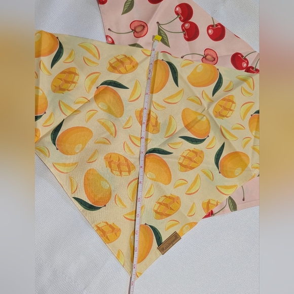 Raisingwell Pet Fruit Print Bandana Set-Yellow and Pink Reversible Size: XL - Picture 5 of 10